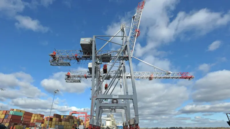 Liebherr cranes
