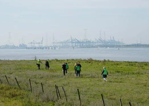 Port of Antwerp
