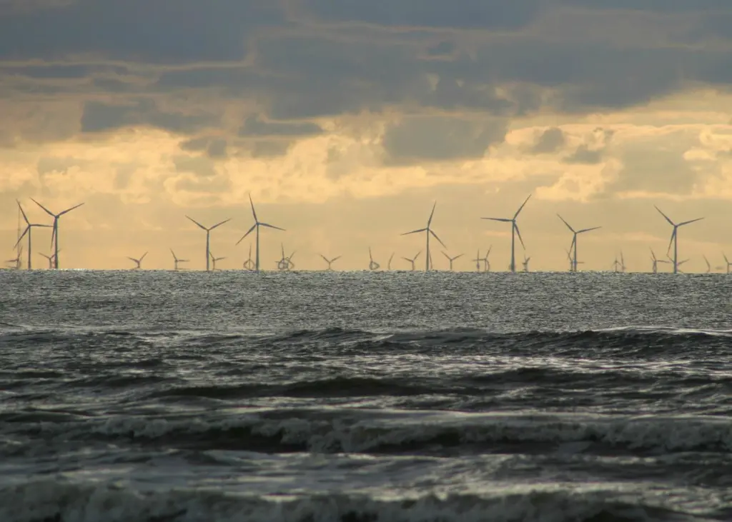 offshore wind