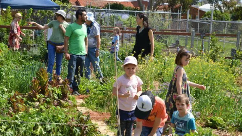 community garden