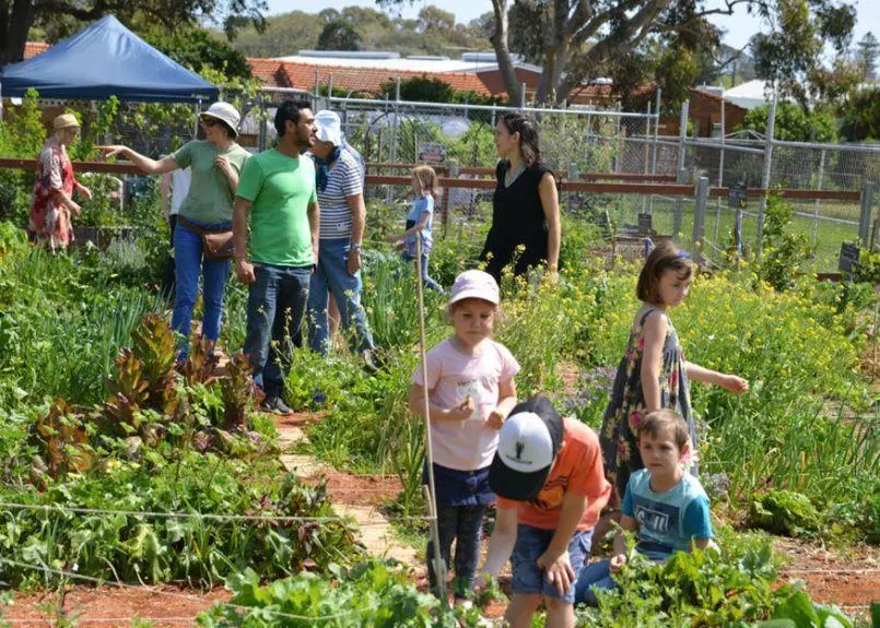 community garden