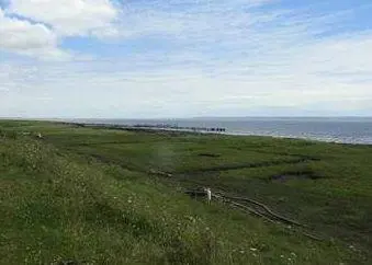 Marine habitat