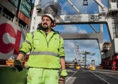 Stevedore