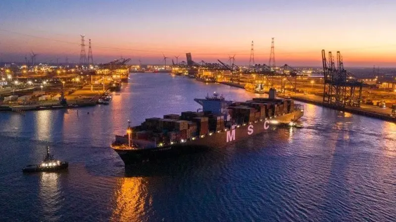 MSC Regulus