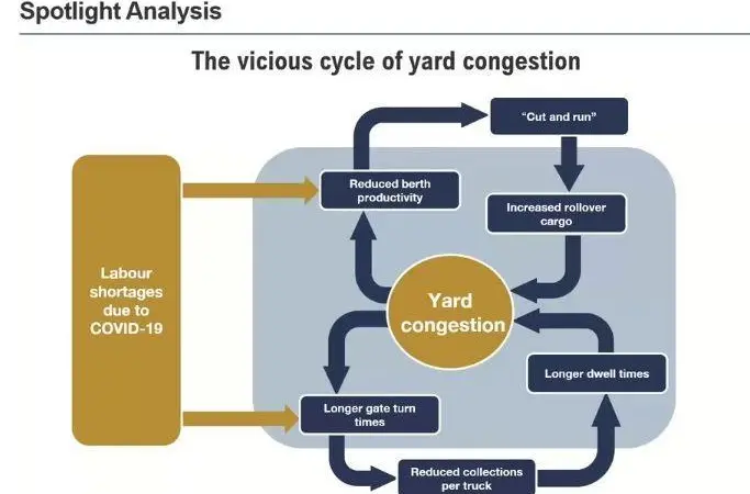 yard congestion cycle