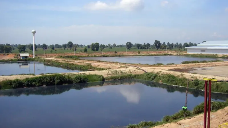 Bolloré Logistics is financing a waste-to-energy project in Thailand Photo: Bolloré Logistics