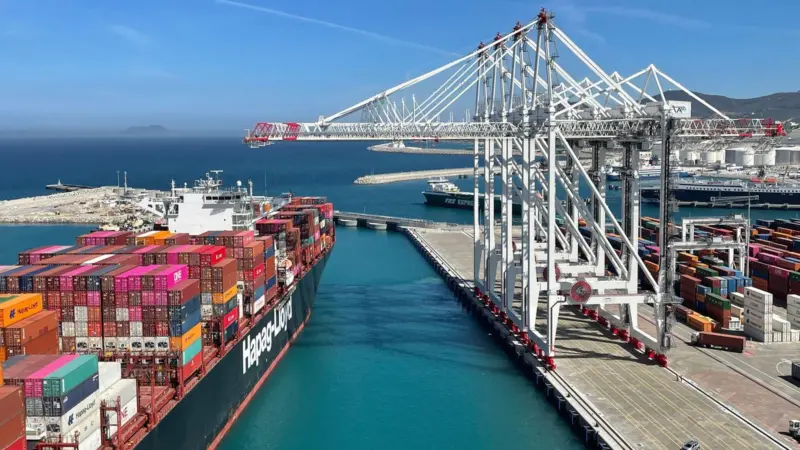 The cranes are helping the T3 terminal achieve its full handling capacity of 1.5 million teu Photo: Liebherr