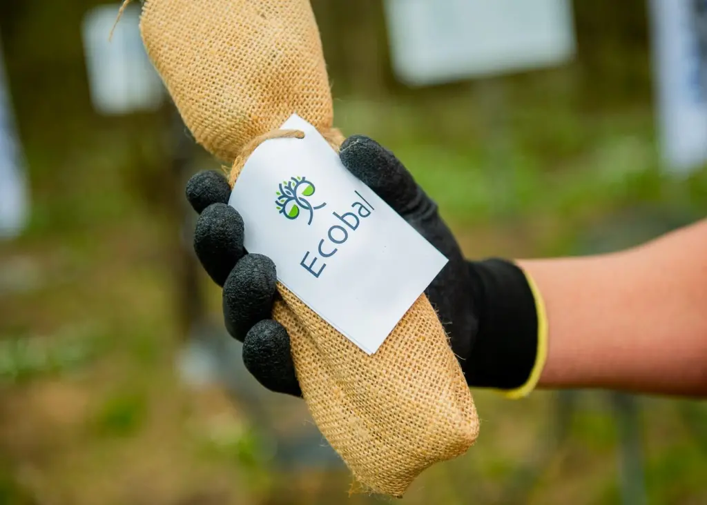 Ecobal will verify Samskip’s carbon offsetting and forest conservation efforts Photo: Ecobal