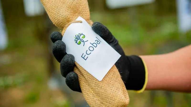Ecobal will verify Samskip’s carbon offsetting and forest conservation efforts Photo: Ecobal