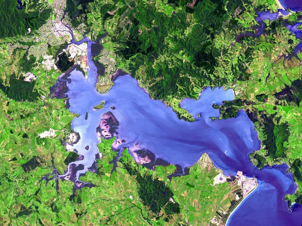 Whangarei_Harbour_(satellite_image)