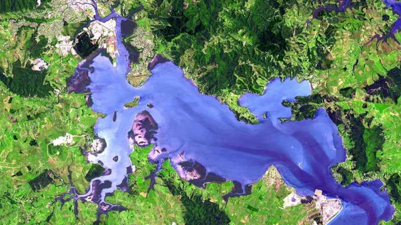 Whangarei_Harbour_(satellite_image)