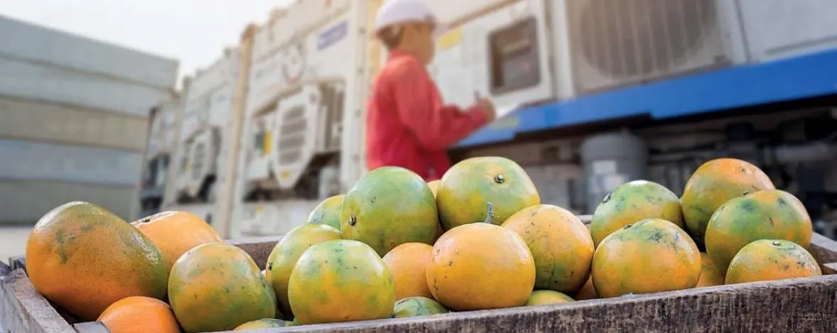 Brazil broke through the US$1 billion barrier for fruit exports for the fi rst time in 2021