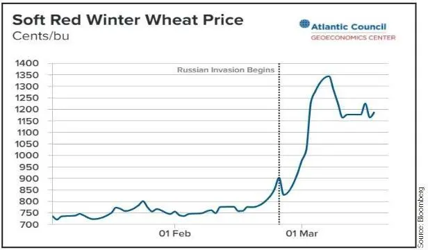Figure 2: Wheat Prices since the beginning of 2022 – further increases likely