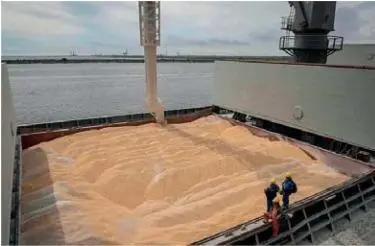 Various solutions have been proposed to get Ukrainian grain moving but so far very little real progress has been made