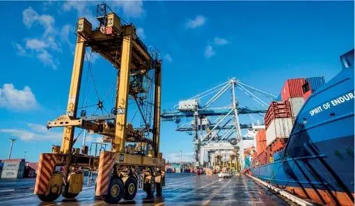 There will be no automated straddles in Auckland for the foreseeable future