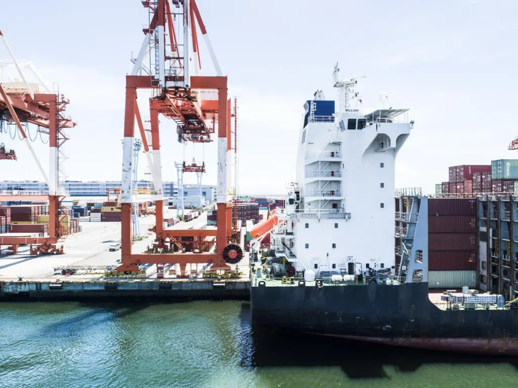 Portside cranes