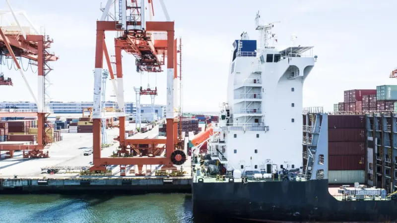 Portside cranes