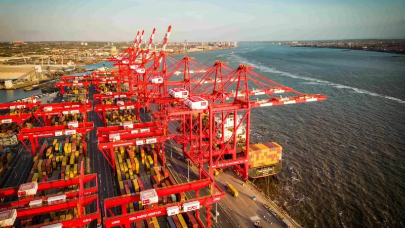 PP (Container) DJI_0231 (1)