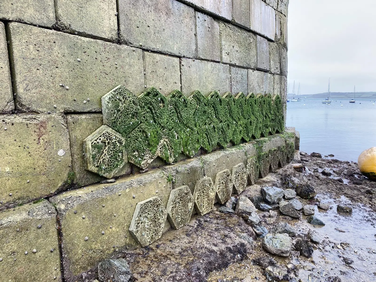 Living wall tiles at Falmouth Harbour