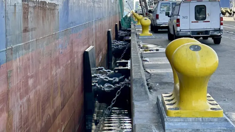 ShibataFenderTeam bollards at the Port of Oakland
