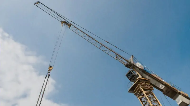 crane