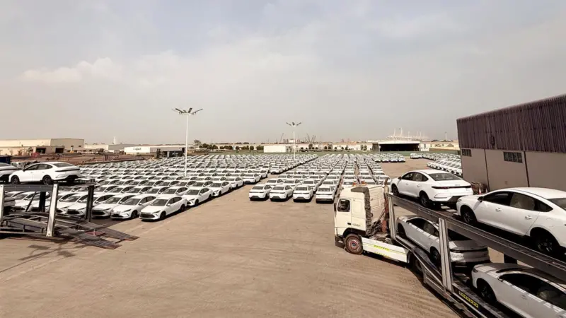 Lots and lots of identical white cars at Jafza